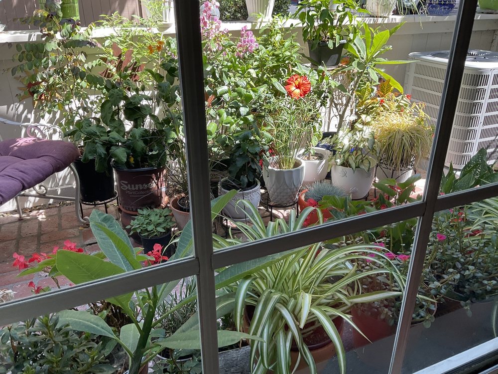 professional Window cleaning in orange county